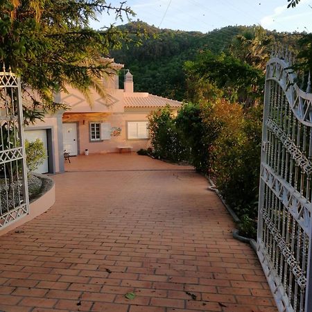Casa Loureiro - Vista Rio Douro Villa Resende Ngoại thất bức ảnh