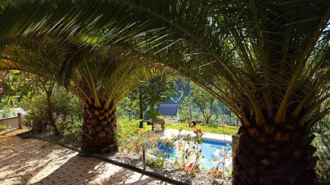 Casa Loureiro - Vista Rio Douro Villa Resende Ngoại thất bức ảnh