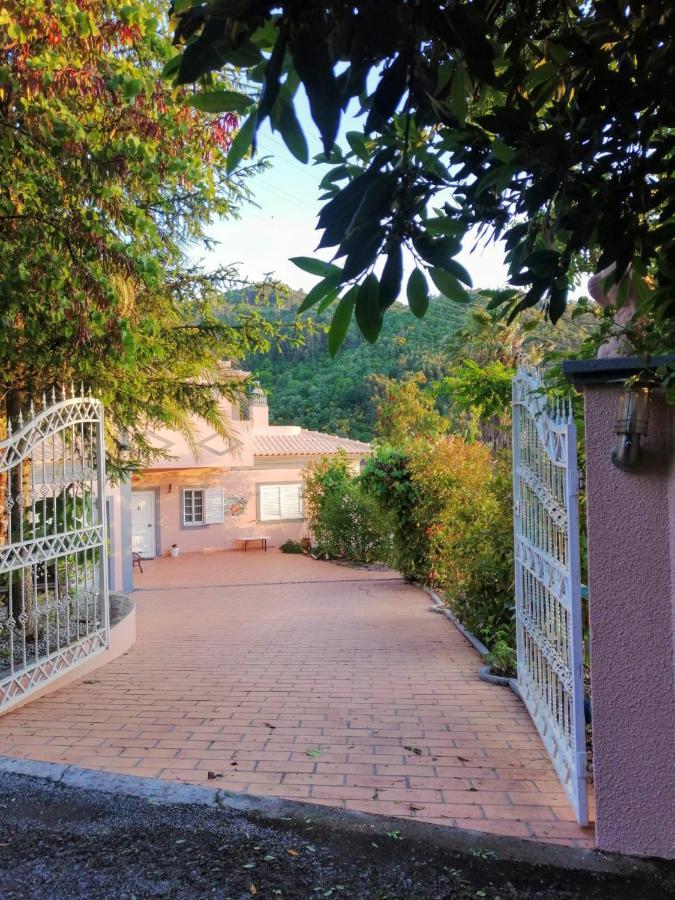 Casa Loureiro - Vista Rio Douro Villa Resende Ngoại thất bức ảnh