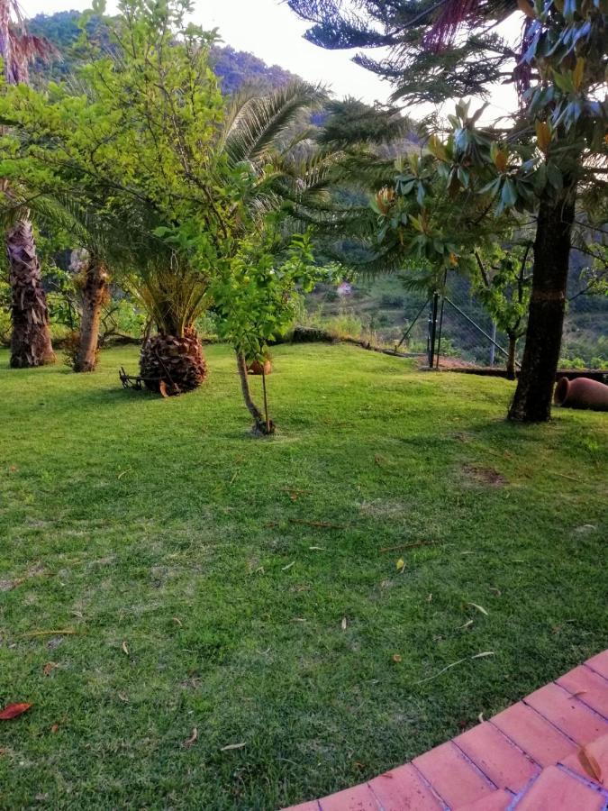 Casa Loureiro - Vista Rio Douro Villa Resende Ngoại thất bức ảnh