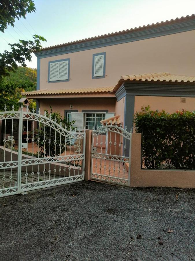 Casa Loureiro - Vista Rio Douro Villa Resende Ngoại thất bức ảnh