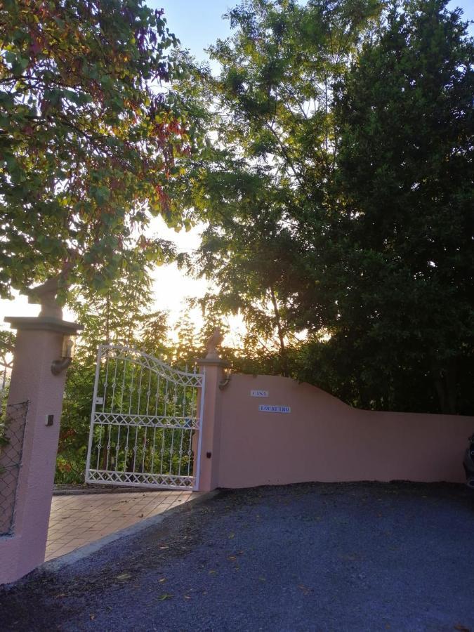 Casa Loureiro - Vista Rio Douro Villa Resende Ngoại thất bức ảnh