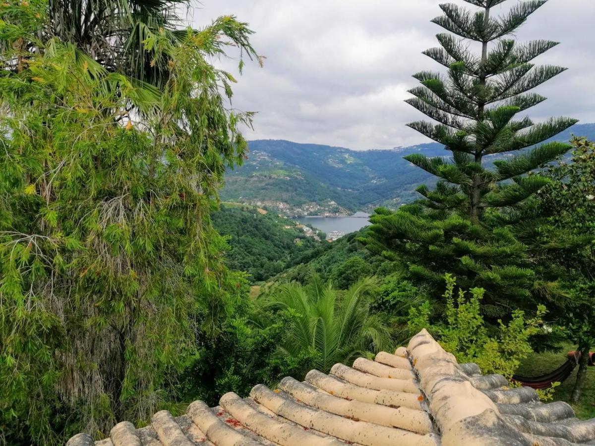 Casa Loureiro - Vista Rio Douro Villa Resende Ngoại thất bức ảnh