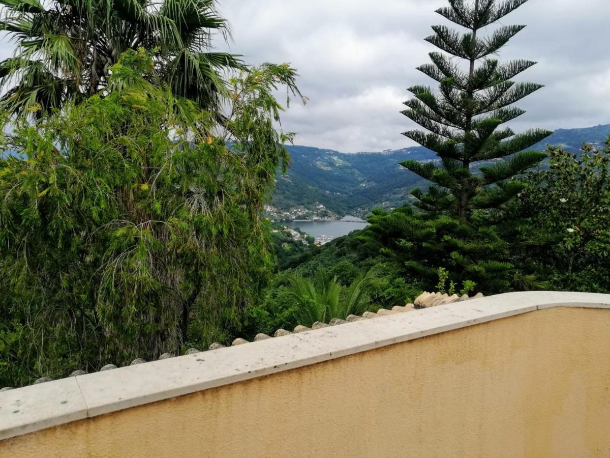 Casa Loureiro - Vista Rio Douro Villa Resende Ngoại thất bức ảnh