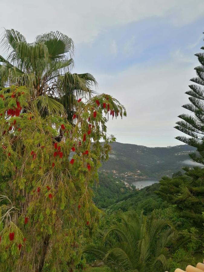 Casa Loureiro - Vista Rio Douro Villa Resende Ngoại thất bức ảnh