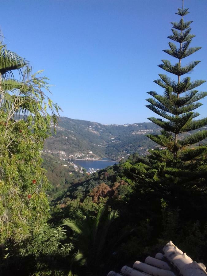 Casa Loureiro - Vista Rio Douro Villa Resende Ngoại thất bức ảnh